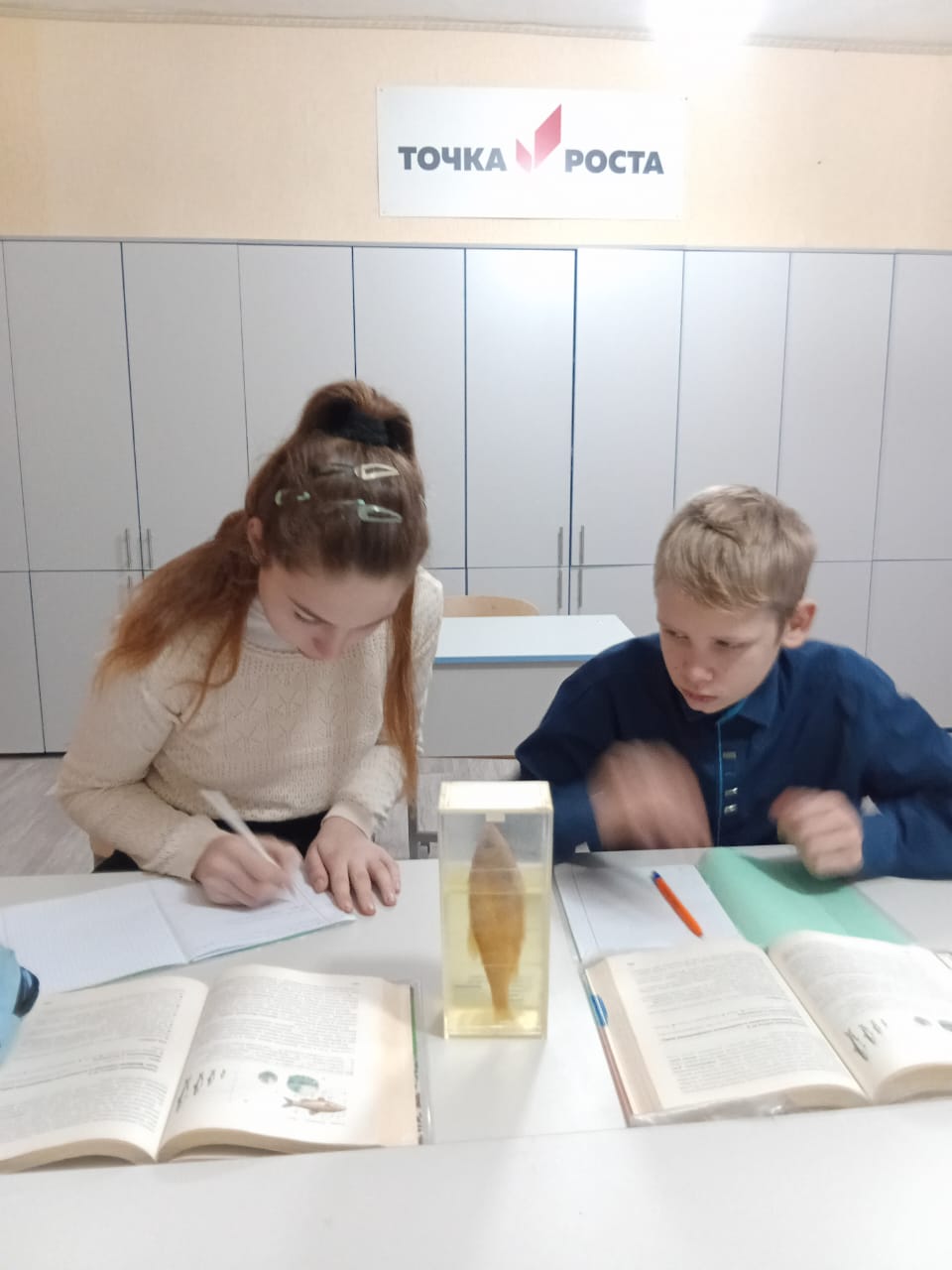 «Внутреннее строение рыбы».