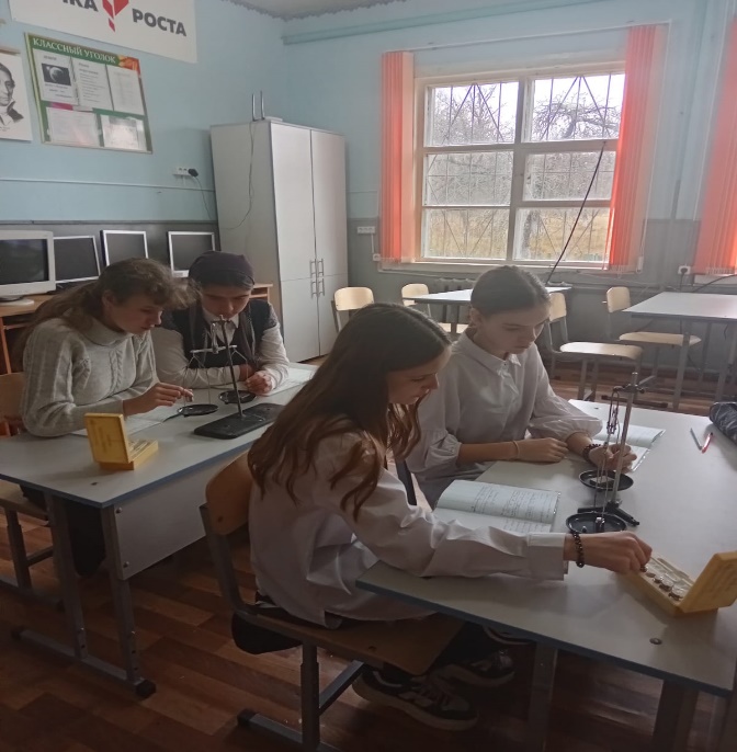 Лабораторная работа по теме «Определение плотности твердого тела».